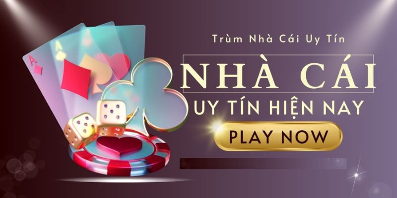 danh-sach-dinh-cao-top-nha-cai-uy-tin-choi-rong-ho-online-khong-nen-bo-qua